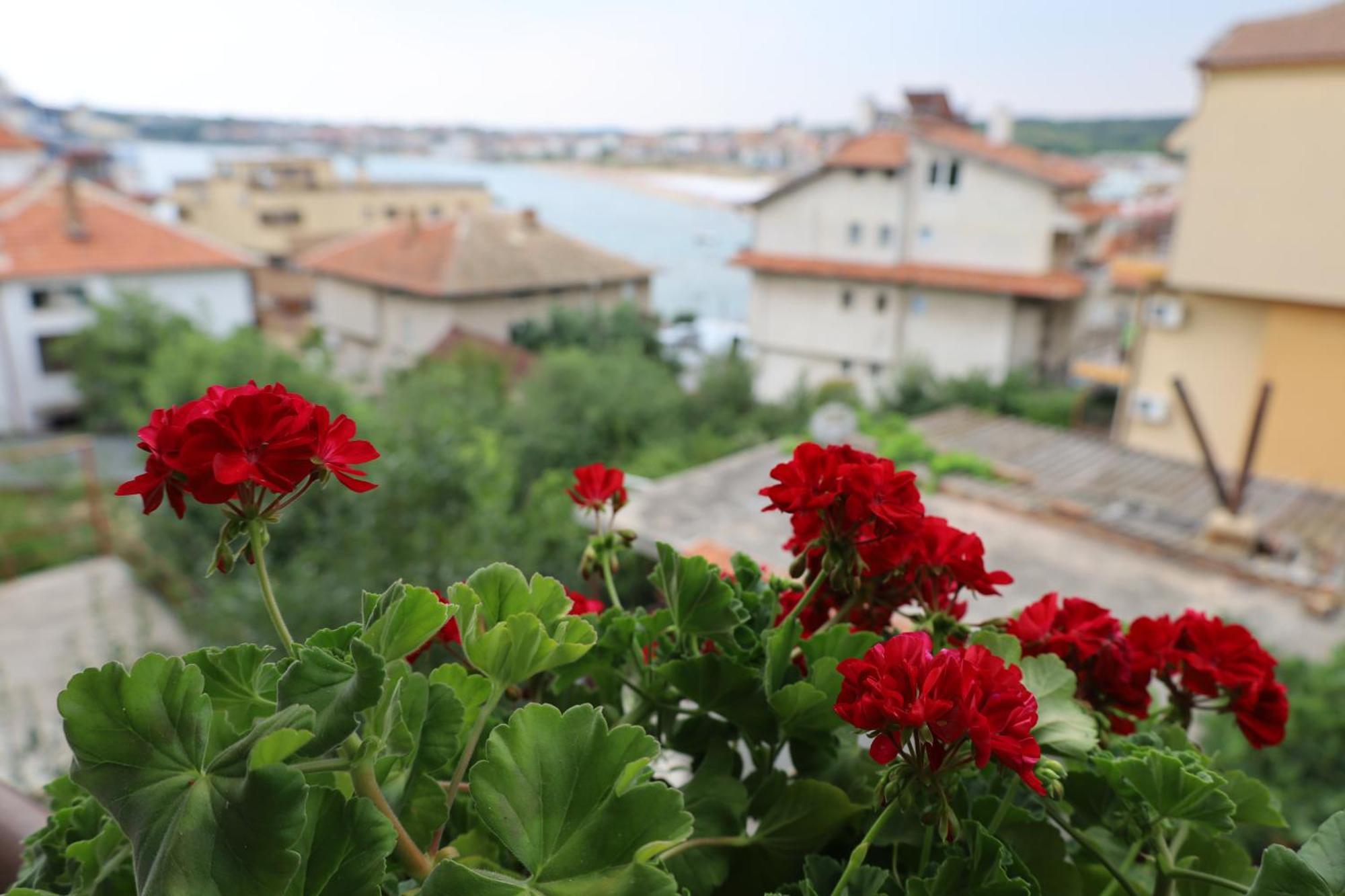 Kalina Guest Rooms Süzebolu Dış mekan fotoğraf